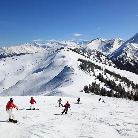 & Appartementhaus Haussteiner Lägenhetshotell 4*