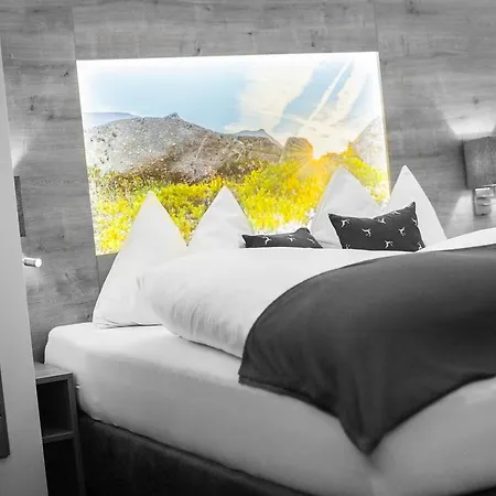 & Appartementhaus Haussteiner Aparthotel Dorfgastein