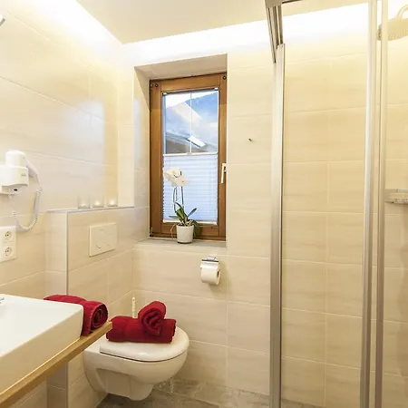 Aparthotel & Appartementhaus Haussteiner Dorfgastein