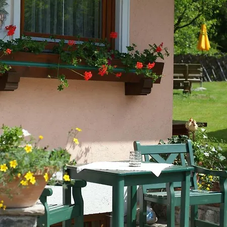 & Appartementhaus Haussteiner شقة فندقية دورفغاستين