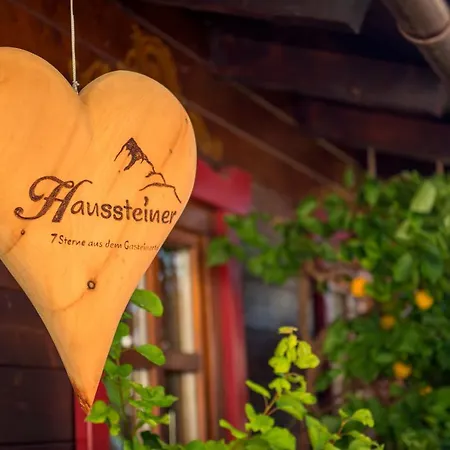Lägenhetshotell & Appartementhaus Haussteiner Dorfgastein