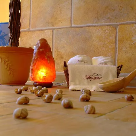 & Appartementhaus Haussteiner 4* Dorfgastein